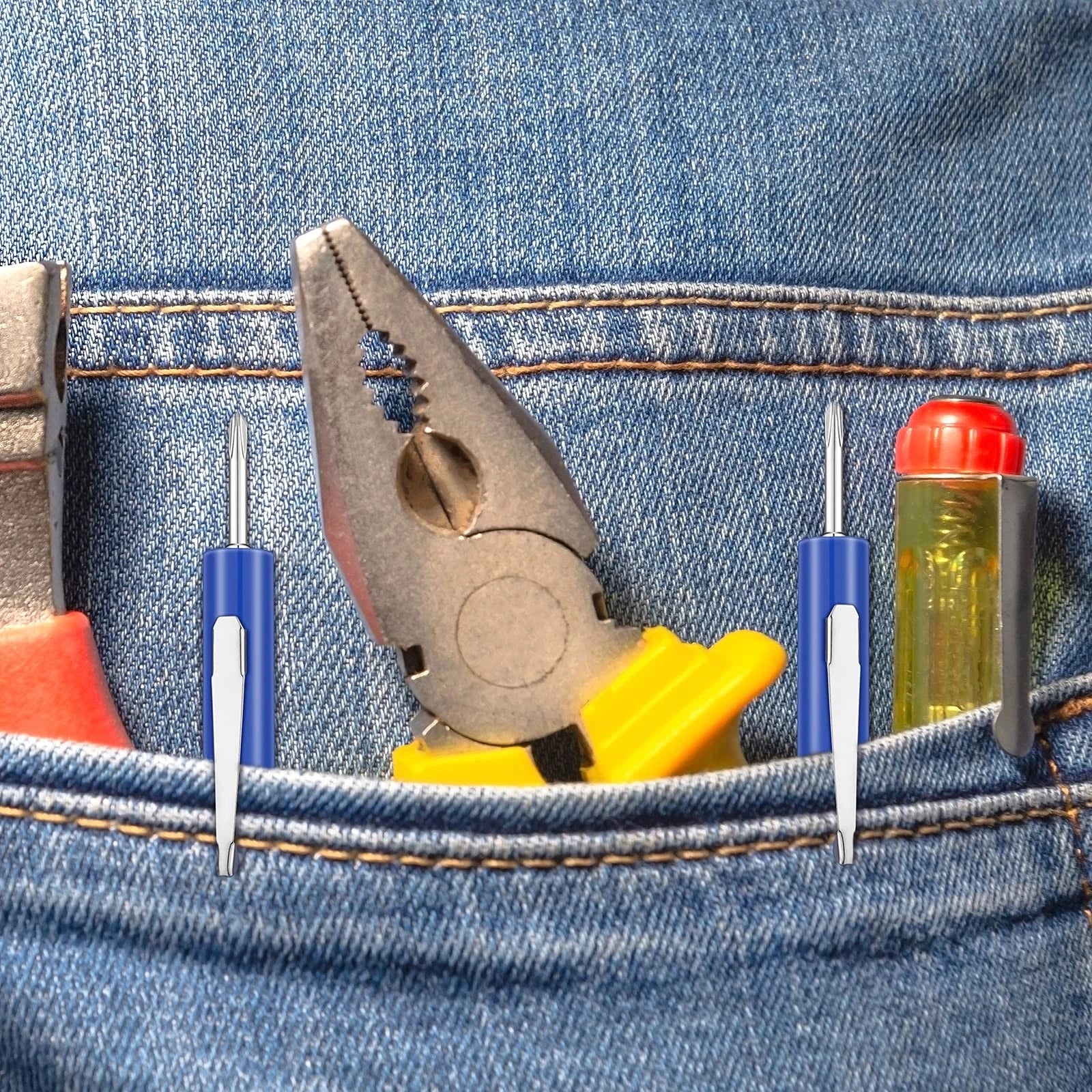 10 Pieces Pocket Screwdriver Set with Clip Double End and Slotted Two use Screwd